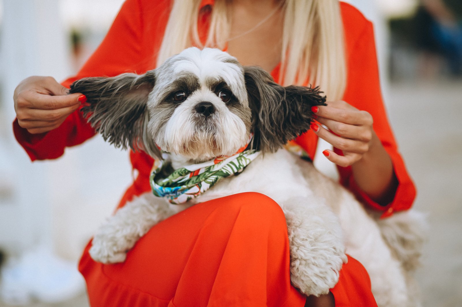 Pretty woman with her cute dog on vacation